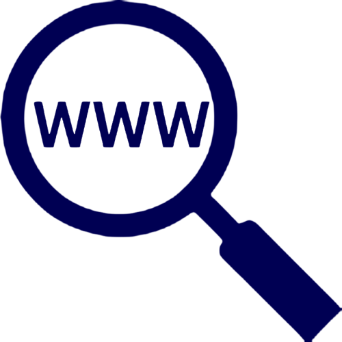 Website audit